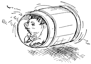 Pig, rolling downhill in barrel